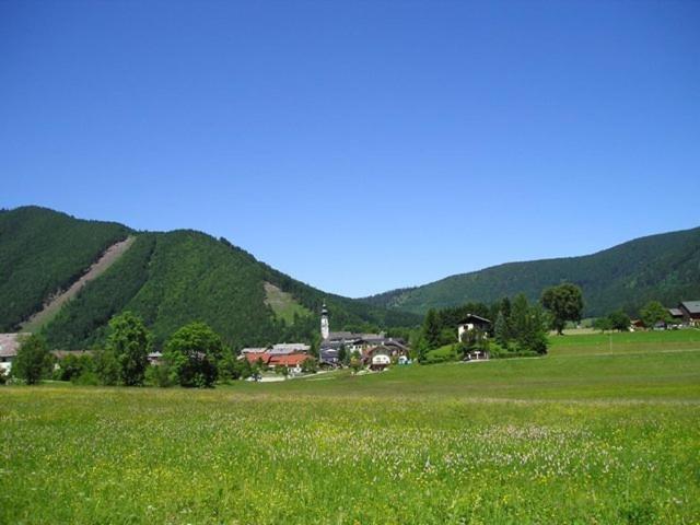 Apartment Bergblick Ii *