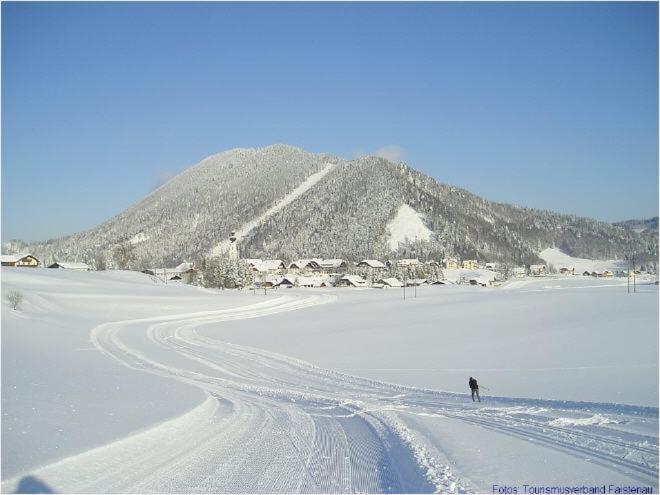 Bergblick Ii
